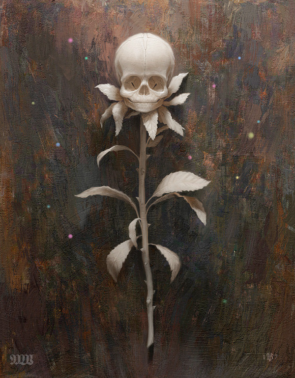 Seed